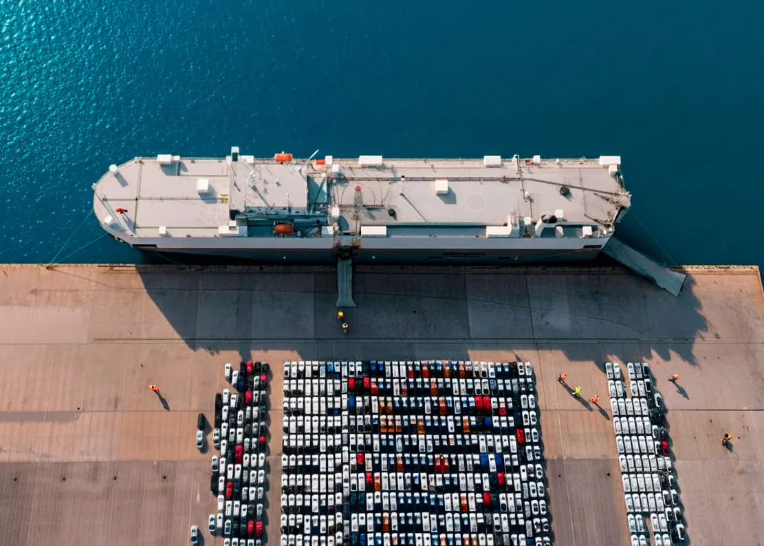 Container vs RORO