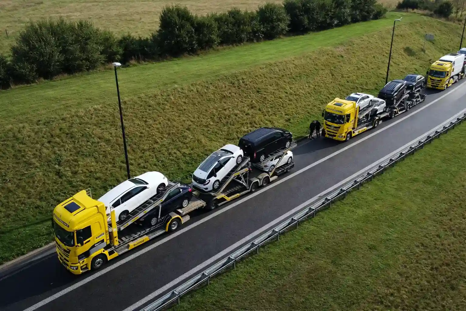 Professional Transport Services